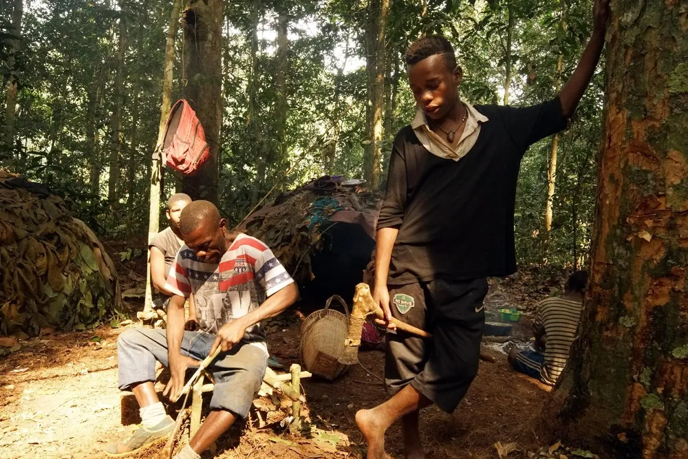 Baka Tribe of Central Africa