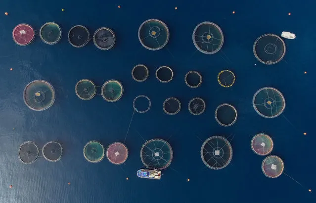 An aerial view of fish farm, raising a new breed “Egeli” fish, in Izmir's Karaburun district, Turkey on April 25, 2019. “Egeli” fish, cross breeding of sea bream and dentex, are expected to be put on sale in a year. (Photo by Mahmut Serdar Alakus/Anadolu Agency/Getty Images)