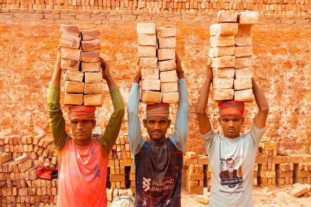 Workers carry piles of bricks weighing more than 20 kg on their heads in a kiln in Dhaka, Bangladesh on February 15, 2024. The labourers “who are paid less than £1 a shift” move up to 2,500 bricks a day in sweltering conditions. Around 4,00,000 low-income migrants arrive in Dhaka from different parts of the country every year to work at brickfields. Long working hours under the scorching sun in the brick fields, massive accumulation of dust, the risk of falling from the trucks and piles of bricks, and carrying excessive loads pose serious health hazards for the workers. (Photo by Joy Saha/ZUMA Press Wire/Rex Features/Shutterstock)