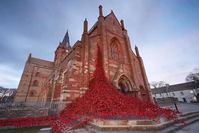 An early evening view of the poppy installation at St. Magnus Cathedral, April 21, 2016, in Kirkwall, Scotland. The poppy sculpture “Weeping Window” has opened marking the start of the UK's Battle of Jutland centenary commemorations. The sculpture is part of “Blood Swept Lands and Seas of Red” by artist Paul Cummins and designer Tom Piper. (Photo by Michael Bowles/Getty Images)