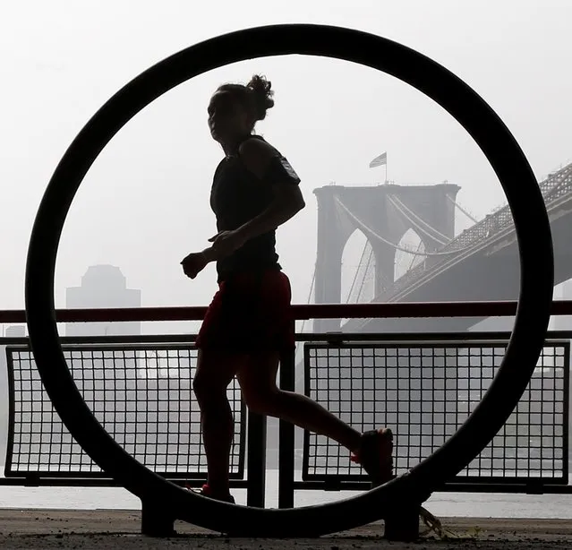 A woman jogs along the East River waterfront as thick fog blankets over the Brooklyn Bridge seen through a bicycle rack, Saturday, May 10, 2014, in New York. (Photo by Julio Cortez/AP Photo)