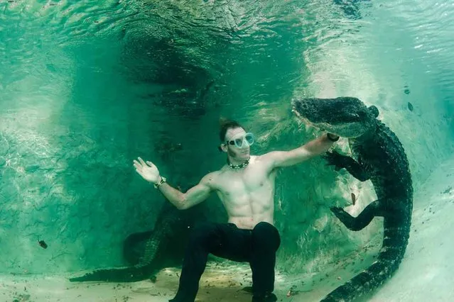 Underwater photographer John Chapa gets up close with a wild alligator on his first ever dive with the animals. (Photo by John Chapa/Barcroft Media)