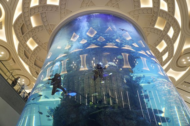 Divers wipe the glass of a giant aquarium at the King Abdulaziz International Airport in Jeddah, Saudi Arabia, Tuesday, June 20, 2023, ahead of hajj pilgrims' arrival. (Photo by Amr Nabil/AP Photo)