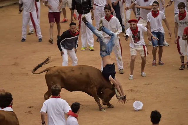 A reveller in upended by a calf after the third running of the bulls at the San Fermin Festival, in Pamplona, northern Spain, Sunday, July 9, 2017. Revellers from around the world flock to Pamplona every year to take part in the eight days of the running of the bulls. The calves are let loose in the bullring at the end of the daily bull runs for further entertainment. (Photo by Alvaro Barrientos/AP Photo)