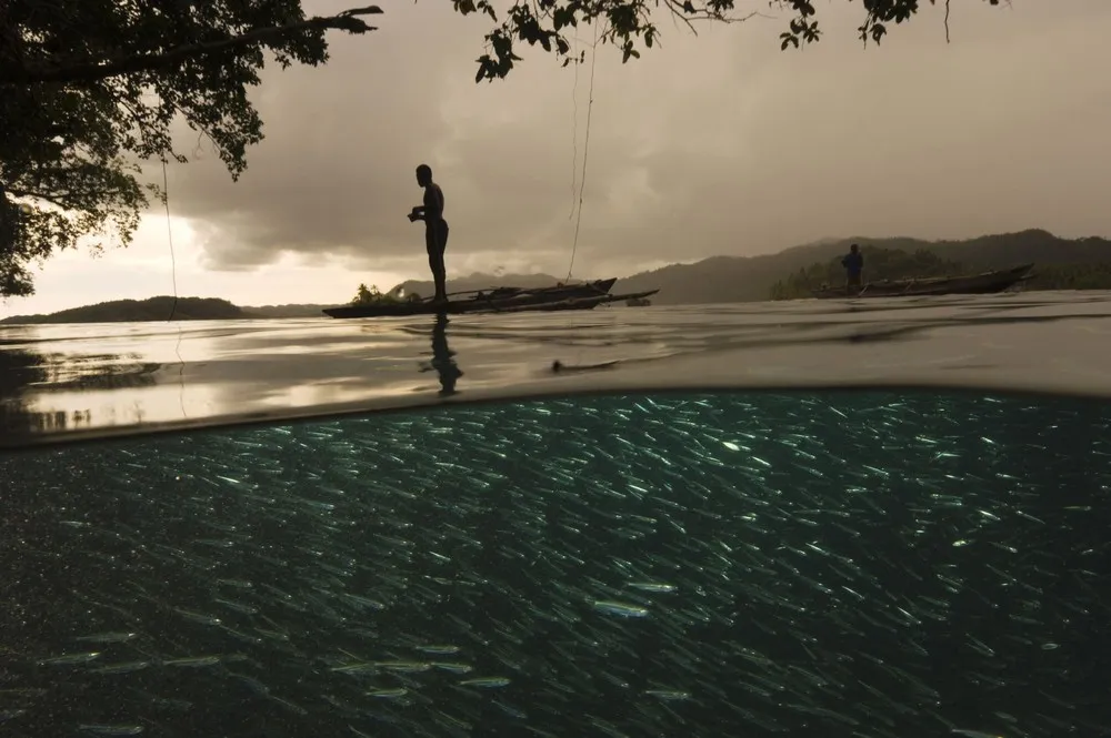 Photographers: David Doubilet