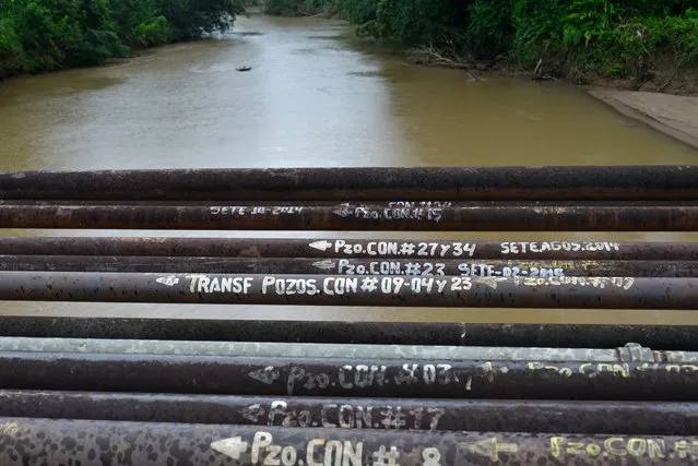 Shortlisted: Emanuele Giovagnoli. Oil pipelines run along a bridge over the Shiripuno river in the Yasuni national park. Oil pipelines run through the Ecuadorian rainforest to transport oil from pumping stations to oil developments. (Photo by Emanuele Giovagnoli/2016 EPOTY)