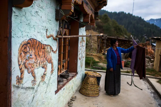 Rare images of wild tigers in Bhutan, captured by camera traps, show tigers and other animals using high-altitude wildlife corridors which are lifelines to isolated tiger populations and critical to genetic diversity, conservation and growth. Here: A local house, painted with tiger iconography, near Wangchuck Centennial park, in Sephu Gewog village. Tigers are one of the four animal protectors in Bhuddhism and their images can been seen adorning houses throughout Bhutan. (Photo by Emmanuel Rondeau/WWF UK/The Guardian)
