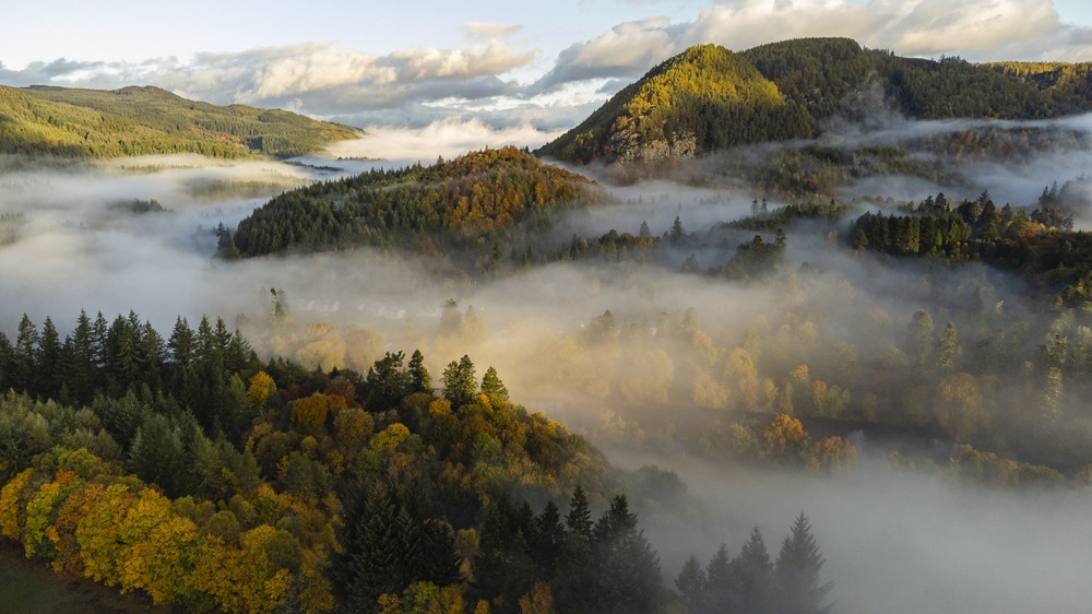 Some Photos: Foggy Day