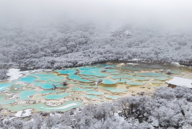 An aerial drone photo taken on November 18, 2024 shows a view of a colorful pond cluster at Huanglong scenic area after snow in Tibetan-Qiang Autonomous Prefecture, southwest China's Sichuan Province. (Photo by Xinhua News Agency/Rex Features/Shutterstock)