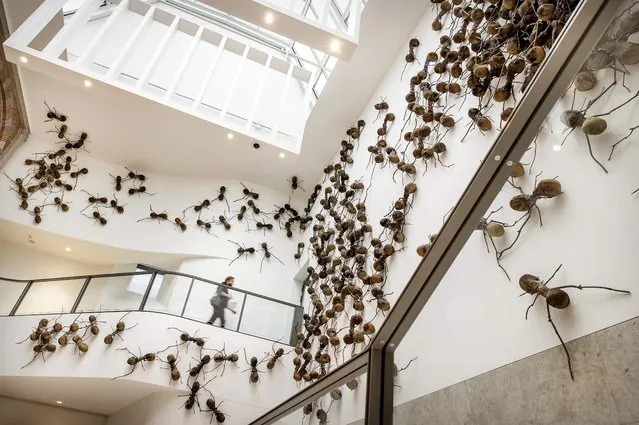 This photograph taken on September 16, 2022 shows artwork “Casa Tomada” by artist Rafael Gomez Barros as part of the exhibition Creeps at Rijksmuseum in Amsterdam. (Photo by Koen van Weel/ANP via AFP Photo)