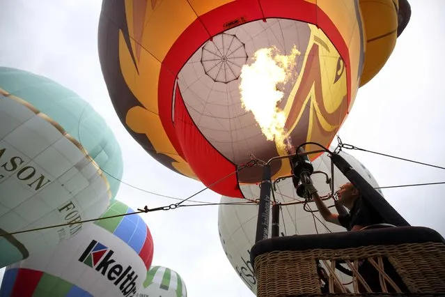 Balloons are inflated at the Bristol International Balloon Fiesta in Bristol, Britain August 12, 2016. (Photo by Neil Hall/Reuters)