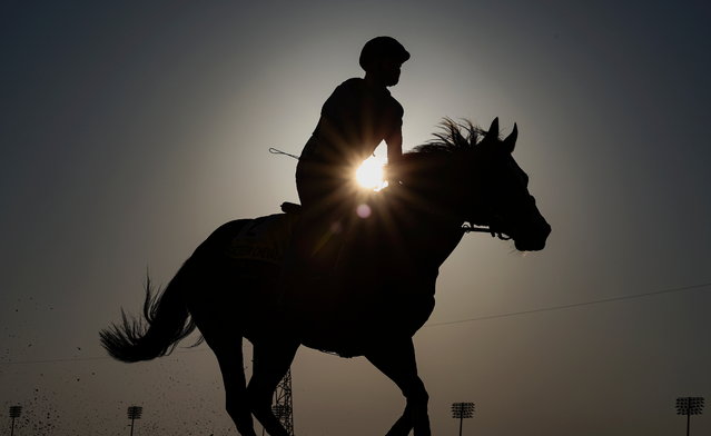 A jockey rides Tuz from the USA during preparations for the Dubai World Cup 2025 at the Meydan racecourse in the Gulf emirate of Dubai, United Arab Emirates, 02 April 2025. The 29th edition of the Dubai World Cup horse race will take place on 05 April 2025. (Photo by Ali Haider/EPA)