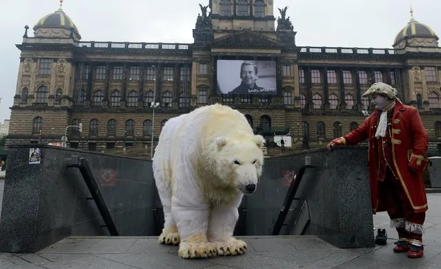 A street performer looks on as a Greenpeace activist dressed like a polar bear poses in front of the National Theatre on October 13, 2014 in Prague, Czech Republic. Greenpeace activists campaigned against an experimental research oil drilling of Shell Oil Company in the Arctic. (Photo by Michal Cizek/AFP Photo)