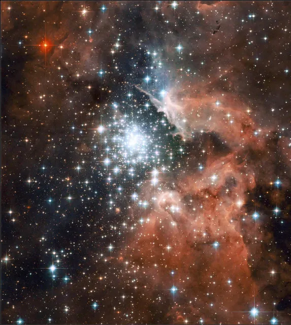 An image shows a giant star-forming nebula with massive young stellar clusters. (Photo by Reuters/NASA/ESA/Hubble Heritage Team)