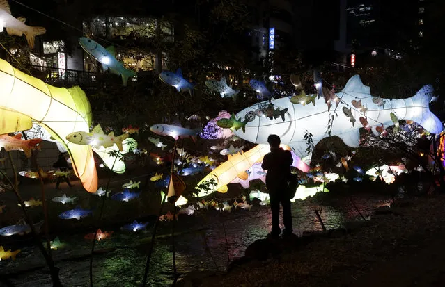 Colorful fish-shaped lanterns are lit up on the eve of Seoul Lantern Festival, which will be held from Nov. 7–23, along Cheonggye stream in Seoul, South Korea, Thursday, November 6, 2014. (Photo by Lee Jin-man/AP Photo)