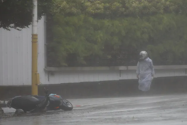 A motorcyclist takes cover from strong winds as Typhoon Megi hits Hualien, eastern Taiwan, September 27, 2016. (Photo by Tyrone Siu/Reuters)