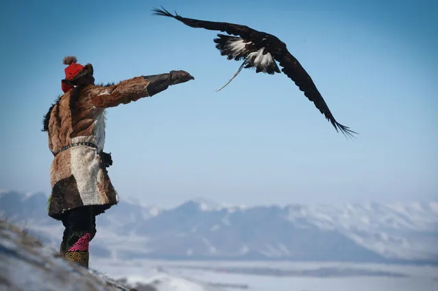 This picture taken on March 4, 2018 shows a man releasing an eagle during the Spring Eagle Festival in Ulaanbaatar, the capital of Mongolia. Members of Mongolia' s Kazakh ethnic group celebrate their 6,000- year history of eagle hunting with an annual Eagle Festival, aiming to draw tourists and encourage the continuation of the eagle hunting tradition. (Photo by Byambasuren Byamba-Ochir/AFP Photo)