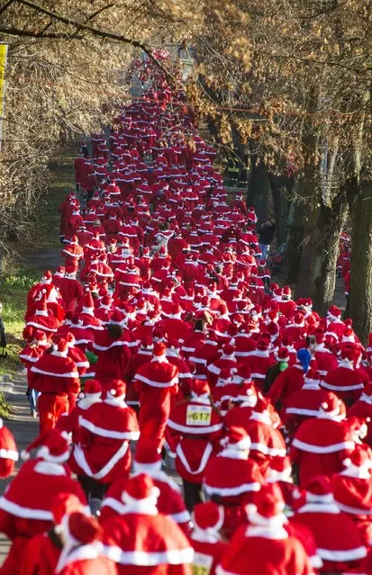 Runners dressed as Father Christmas start in the Nikolaus Lauf (Santa Claus Run) in the east German town of Michendorf, southwest of Berlin December 7, 2014. (Photo by Hannibal Hanschke/Reuters)