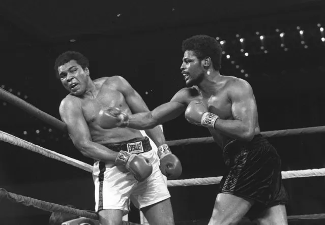 Leon Spinks connects with a right hook to Muhammad Ali, February 16, 1978, during the late rounds of their championship fight in Las Vegas, Nev. The 24-year-old Spinks won the bout in a 15-round decision. (Photo by AP Photo)