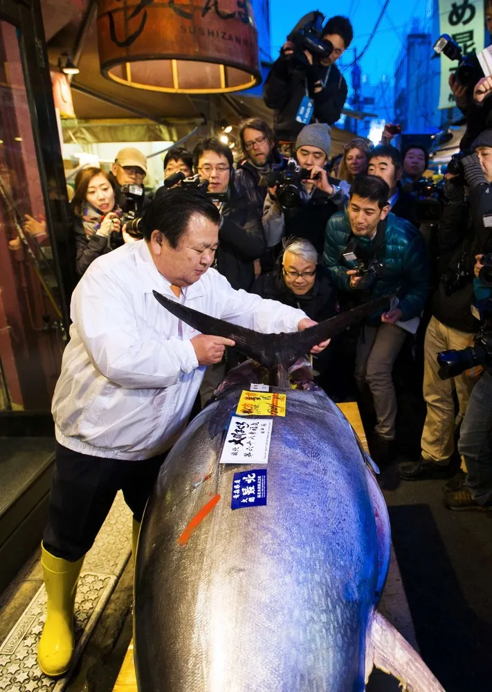 Bluefin Tuna Goes for $37500 at Japanese Auction