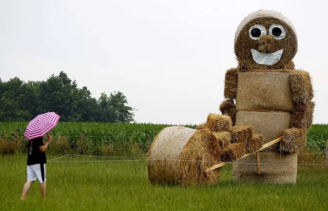 A figure made of bales of straw looms over a field in the Lueneburg  Heath, lower Saxony, Germany. (Photo by Axel Heimken/APN)