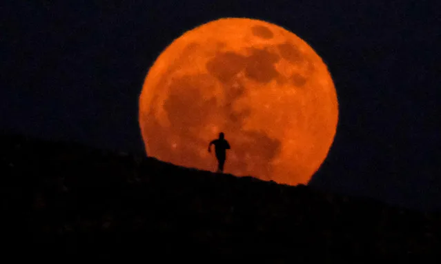 A person runs past the rising full moon also known as June's Strawberry Moon in Los Angeles Saturday, June 3, 2023. (Photo by Ringo Chiu/ZUMA Press Wire/Rex Features/Shutterstock)