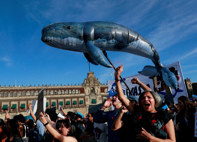 Environmentalists and protestors rallying against a gas project in the Gulf of California, which they say can endanger whales, arrive at Mexico City's Zocalo main square, Mexico on January 29, 2025. (Photo by Henry Romero/Reuters)