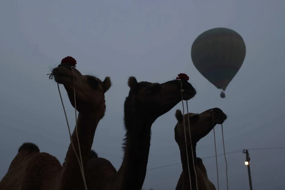 Pushkar Camel Fair