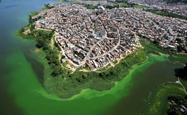 An aerial view shows illegally built slums on the border of the polluted water of Billings reservoir in Sao Paulo February 12, 2015. According to local media, the Billings dam supplies 1.6 million people in the Greater ABC region of Greater Sao Paulo and the state government wants to treat the water to be adequate for human consumption, adding to the complexity of securing safe water supply during the drought. (Photo by Paulo Whitaker/Reuters)