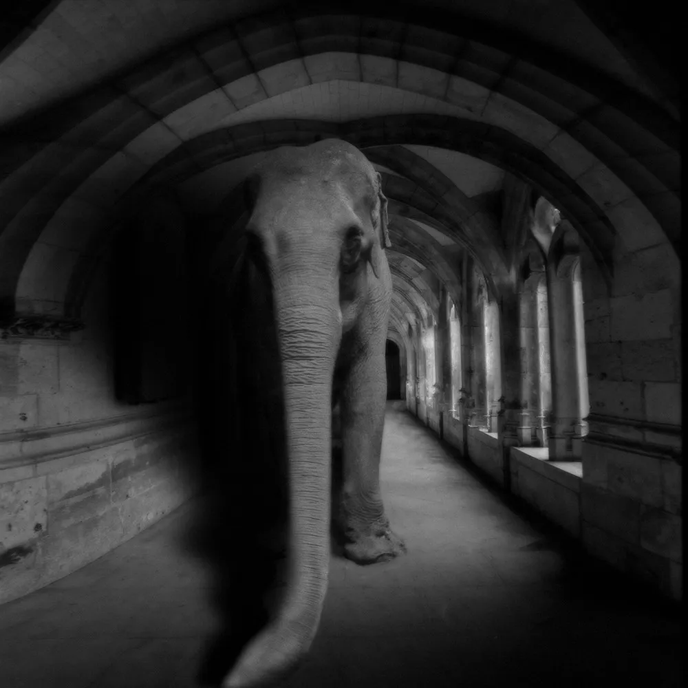 Photo Art by Yves Lecoq, Part 2