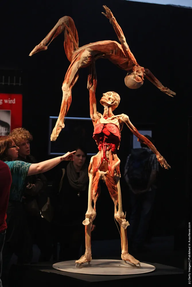 Body Worlds Exhibition To Open In Berlin