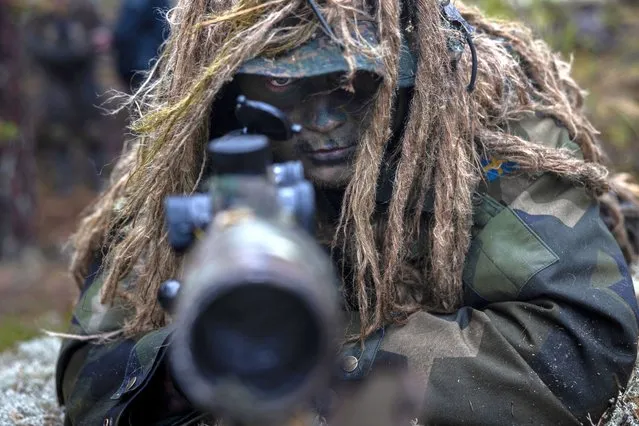 A Swedish sniper from the Amphibious Regiment is camouflage during a military drill with the Swedish army and US marines on September 13, 2022 in Stora Skogsskar, Sweden. As part of Archipelago Endeavour military drill, the Swedish army and US marines join in this training for the fourth time. (Photo by Jonas Gratzer/Getty Images)
