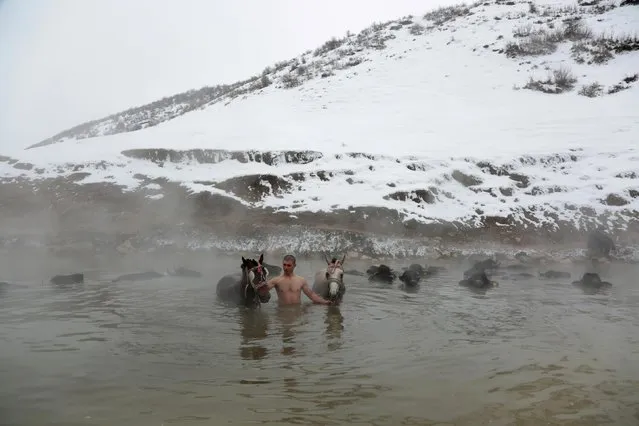 A villager escorts horses as they bathe in a natural hot spring at a snow-covered valley in the eastern Bitlis province, Turkey on January 22, 2019. (Photo by Sertac Kayar/Reuters)