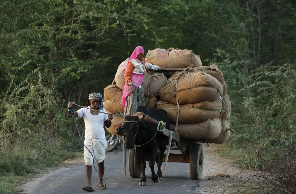 Daily Life in India, Part 1/2