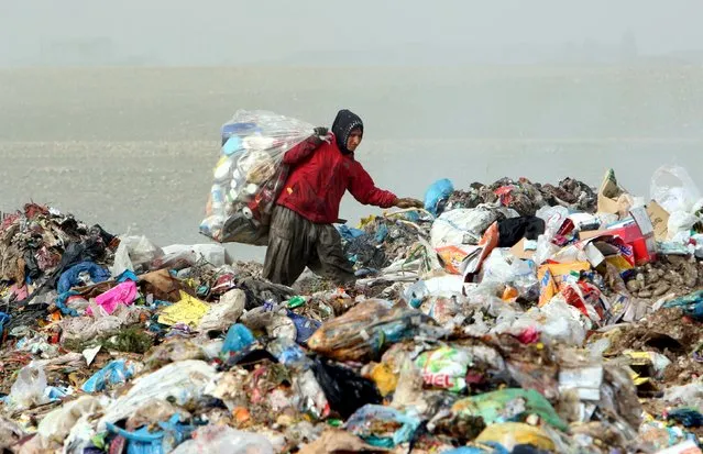 A garbage collector looks for recyclable waste at a dump in Erbil, in Iraq's northern autonomous Kurdistan region, February 21, 2016. (Photo by Azad Lashkari/Reuters)