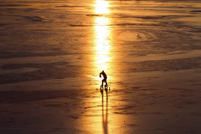 A man plays hockey on Lake Ontario at sunset in Kingston, Canada, Monday, February 22, 2016. (Photo by Lars Hagberg/The Canadian Press via AP Photo)