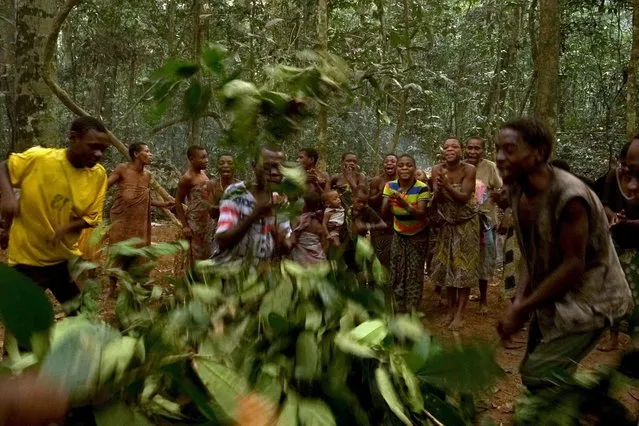 Baka people sing traditional song, in Dzanga-Sangha Reserve, Central African Republic, February 2016. (Photo by Susan Schulman/Barcroft Images)