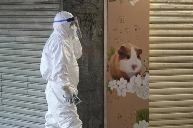 A staffer from the Agriculture, Fisheries and Conservation Department walks past a pet shop which was closed after some pet hamsters were, authorities said, tested positive for the coronavirus, in Hong Kong, Tuesday, January 18, 2022. Hong Kong authorities said Tuesday that they will kill about 2,000 small animals, including hamsters, after several tested positive for the coronavirus at the pet store where an employee was also infected. (Photo by Kin Cheung/AP Photo)