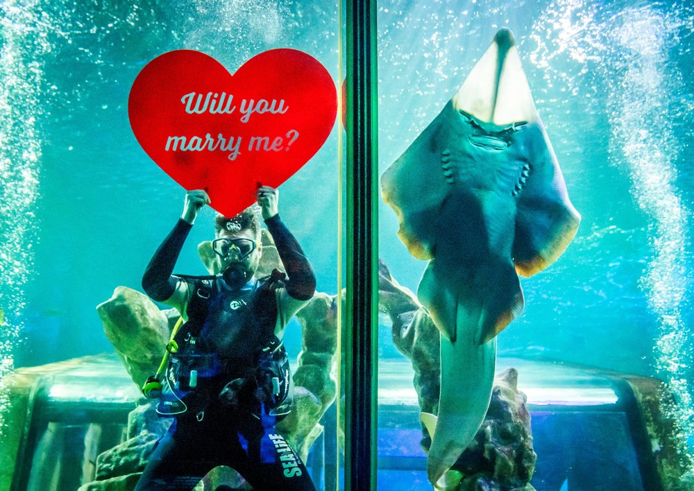 Pictures of the Year 2023, Part 034/224