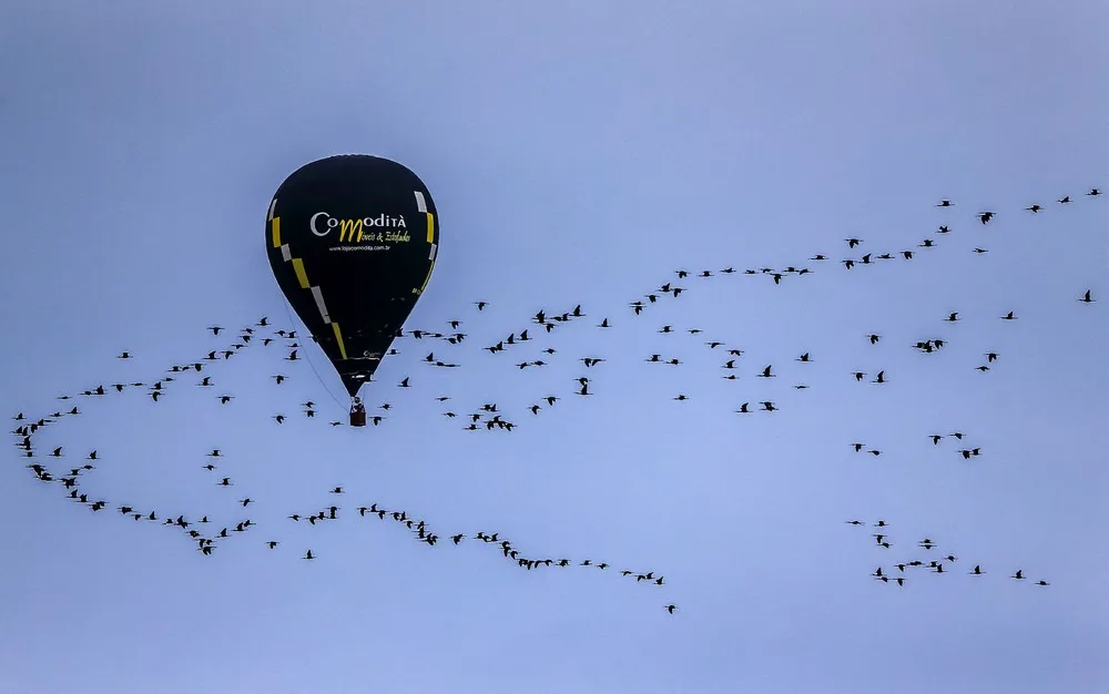 Some Photos: Hot Air Balloons