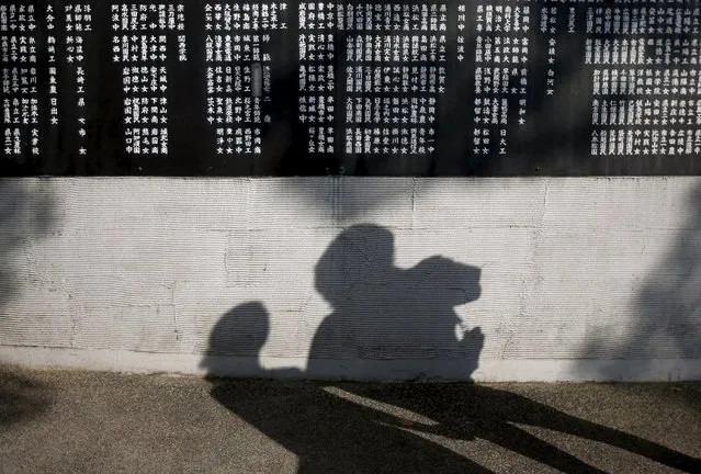 A couple casts shadows on a cenotaph to the mobilized students in Hiroshima, western Japan July 28, 2015. (Photo by Issei Kato/Reuters)
