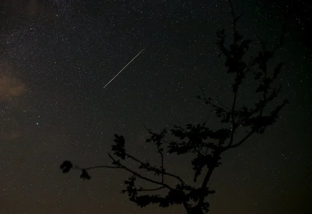 A meteor streaks across the sky during the Perseid meteor shower near Kraljevine on mountain Smetovi in the early morning August 12, 2015. (Photo by Dado Ruvic/Reuters)