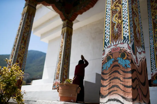 A man prays at the Memorial Stupa in capital Thimphu. All columns surrounding the stupa feature tigers. (Photo by Emmanuel Rondeau/WWF UK/The Guardian)