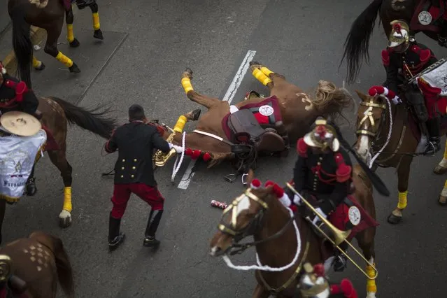 In this Saturday, July 29, 2017 photo, a member of the traditional cavalry regiment known as the “Husares de Junin” tends to his horse who inexplicably fell during a military parade that was part of Independence Day celebrations in Lima, Peru, Saturday, July 29, 2017. There were no injuries. (Photo by Rodrigo Abd/AP Photo)