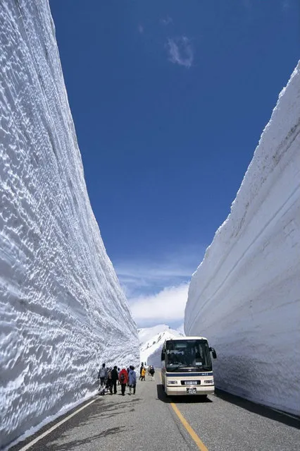 Snow Wall in Japan