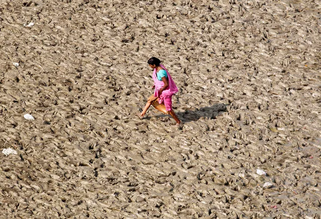 A woman walks on the muddy banks of the Ganges river in Allahabad, India, October 19, 2017. (Photo by Jitendra Prakash/Reuters)