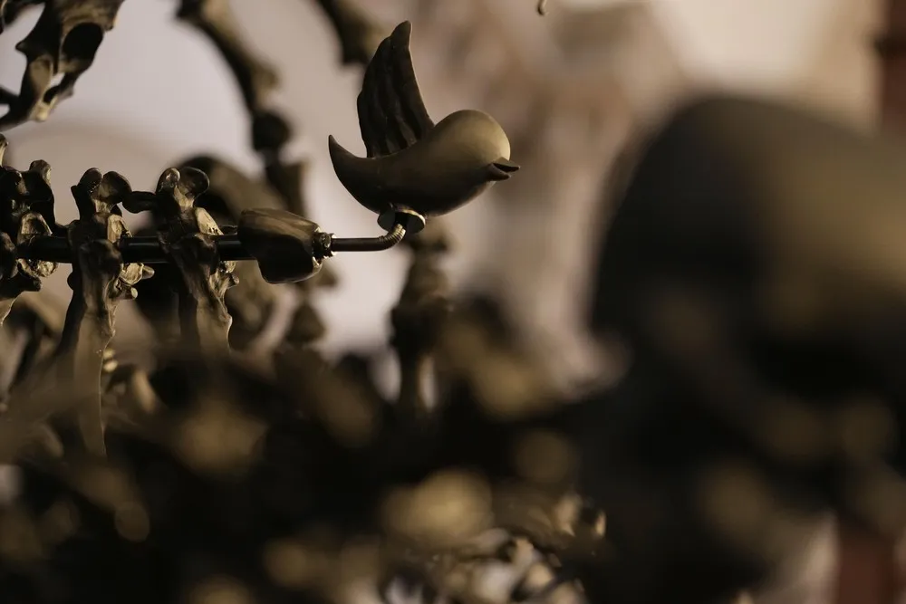 Some Photos: Contemporary Art