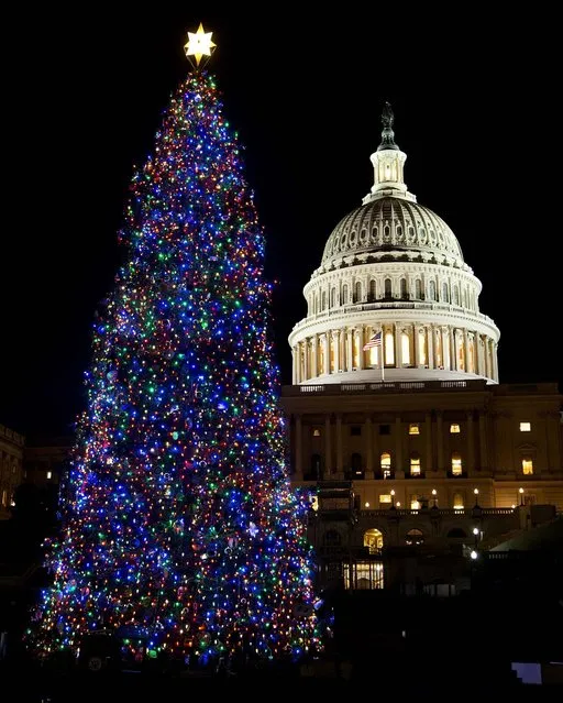 The U.S. Capitol Christmas tree is seen after being lit by House Speaker John Boehner and Ryan Shuster, 17, of Colorado Springs, Colorado, on the Capitol grounds in Washington. The tree is an Engelmann spruce from Colorado's White River National Forest. (Photo by Manuel Balce Ceneta/Associated Press)