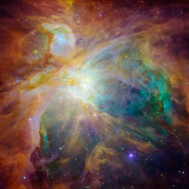 An image of the Orion nebula shows four monstrously massive stars at the center of the cloud. (Photo by T. Megeath/M. Robberto/Reuters/NASA/JPL-Caltech/University of Toledo/STScI)