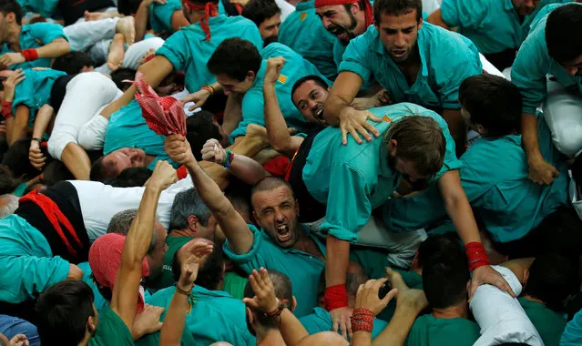Castellers de Vilafranca celebrate after forming a human tower called “castell” during a biannual competition in Tarragona city, Spain, October 2, 2016. (Photo by Albert Gea/Reuters)
